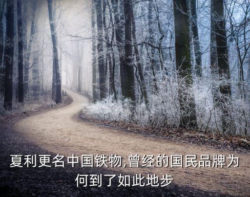 中國鐵路物資集團托管,徐林秀 中國鐵路物資集團