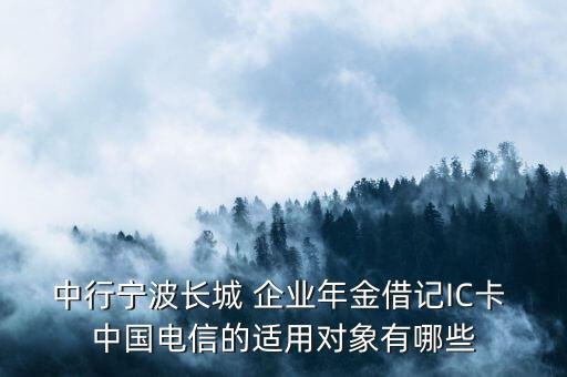 中國(guó)電信企業(yè)年金員工保險(xiǎn)卡