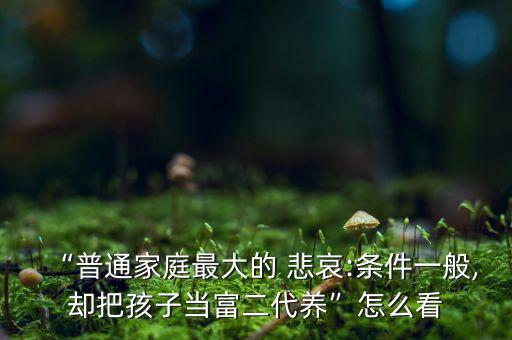 “普通家庭最大的 悲哀:條件一般,卻把孩子當富二代養(yǎng)”怎么看