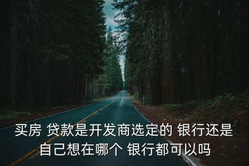 買房 貸款是開發(fā)商選定的 銀行還是自己想在哪個 銀行都可以嗎