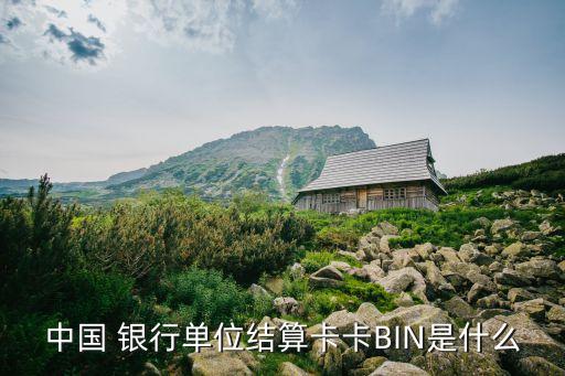 中國 銀行單位結(jié)算卡卡BIN是什么