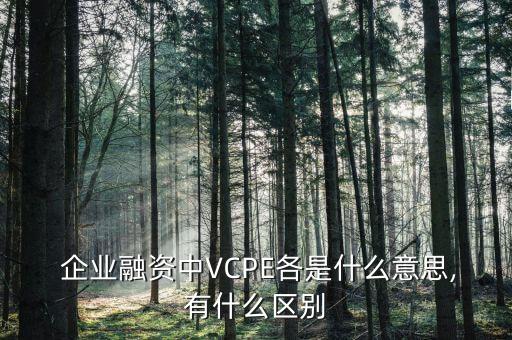 pe項目人員入股被投資企業(yè)