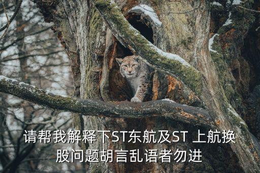 請幫我解釋下ST東航及ST 上航換股問題胡言亂語者勿進(jìn)