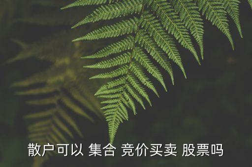 散戶可以 集合 競價(jià)買賣 股票嗎