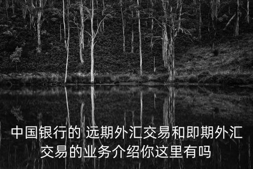 中國(guó)銀行的 遠(yuǎn)期外匯交易和即期外匯交易的業(yè)務(wù)介紹你這里有嗎