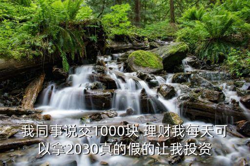 我同事說(shuō)交1000塊 理財(cái)我每天可以拿2030真的假的讓我投資