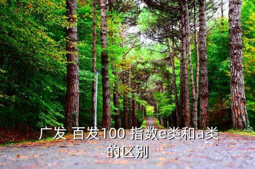  廣發(fā) 百發(fā)100 指數e類和a類的區(qū)別