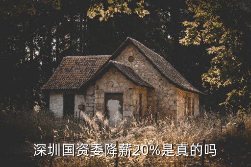 深圳國資委降薪20%是真的嗎