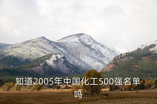 知道2005年中國化工500強名單嗎