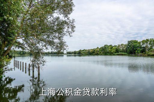 上海什么利息有12點(diǎn),利息12分什么意思