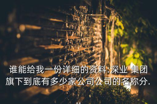 誰能給我一份詳細的資料:深業(yè) 集團旗下到底有多少家公司公司的名稱分...