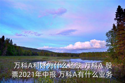  萬科A利好為什么還跌 萬科A 股票2021年中報 萬科A有什么業(yè)務(wù)