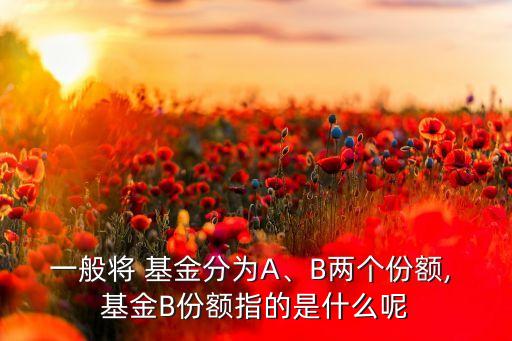 一般將 基金分為A、B兩個(gè)份額, 基金B(yǎng)份額指的是什么呢