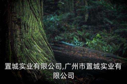 江西置城實業(yè)有限公司,廣州市置城實業(yè)有限公司