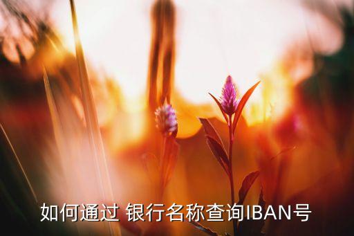 如何通過 銀行名稱查詢IBAN號