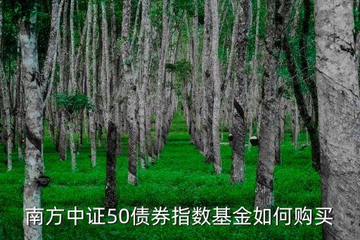 南方中證50債券指數(shù)基金如何購買