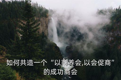 如何共造一個(gè)“以商養(yǎng)會,以會促商”的成功商會