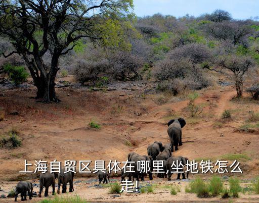 上海自由貿(mào)易試驗區(qū)示意圖,建設(shè)銀行上海自由貿(mào)易試驗區(qū)支行