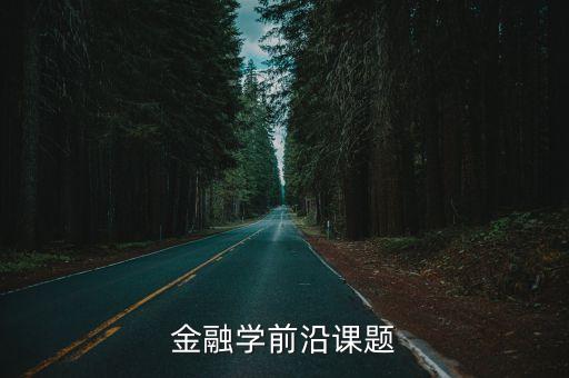 金融學(xué)前沿課題