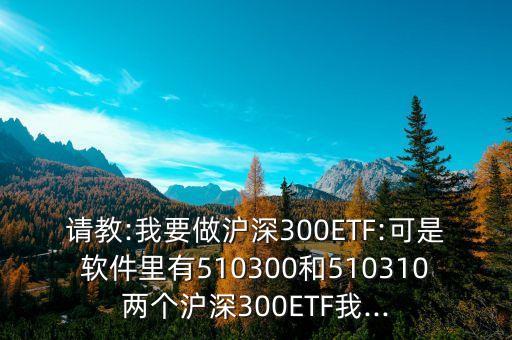 請(qǐng)教:我要做滬深300ETF:可是軟件里有510300和510310兩個(gè)滬深300ETF我...