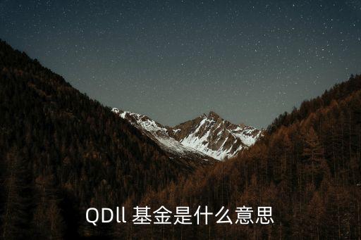 QDll 基金是什么意思