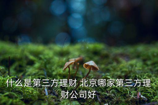 什么是第三方理財(cái) 北京哪家第三方理財(cái)公司好