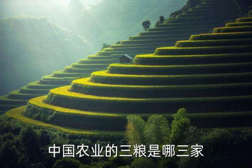 中糧貿(mào)易北良公司