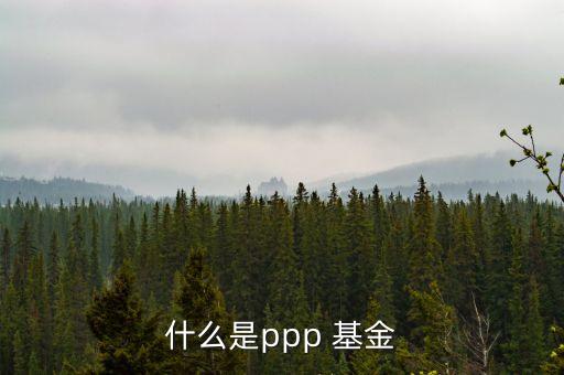 什么是ppp 基金