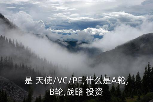 是 天使/VC/PE,什么是A輪,B輪,戰(zhàn)略 投資