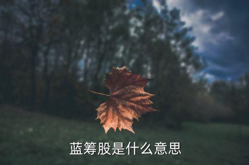  藍籌股是什么意思