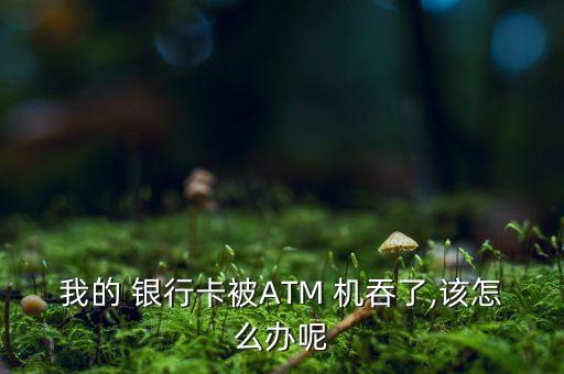 我的 銀行卡被ATM 機(jī)吞了,該怎么辦呢