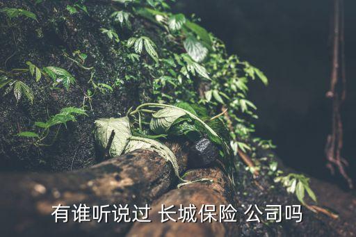 有誰聽說過 長城保險(xiǎn) 公司嗎