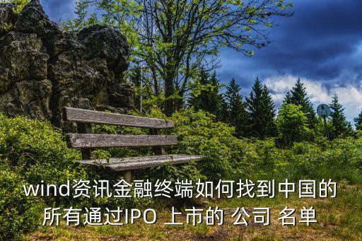 wind資訊金融終端如何找到中國(guó)的所有通過IPO 上市的 公司 名單