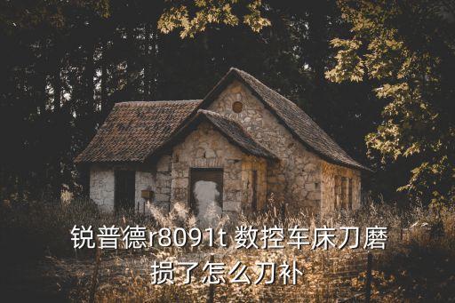 南京銳普德數控設備股份有限公司