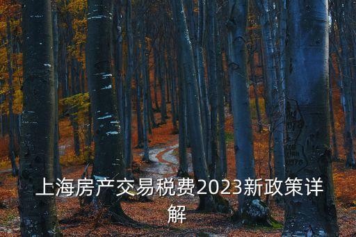  上海房產(chǎn)交易稅費2023新政策詳解