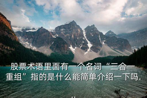  股票術(shù)語里面有一個名詞“三合一 重組”指的是什么能簡單介紹一下嗎...