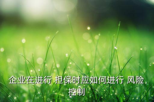 企業(yè)在進(jìn)行 擔(dān)保時應(yīng)如何進(jìn)行 風(fēng)險控制