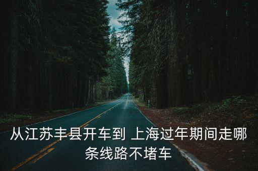 從江蘇豐縣開車到 上海過(guò)年期間走哪條線路不堵車