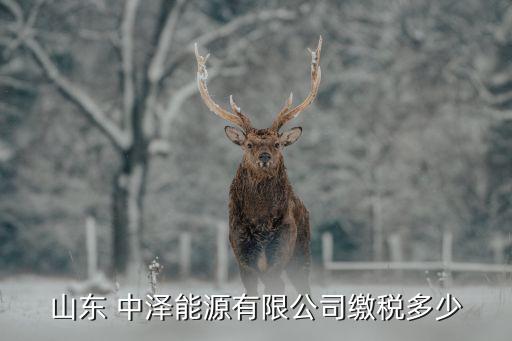 中澤集團(tuán)副董事長,藍(lán)天下傳媒集團(tuán)副董事長