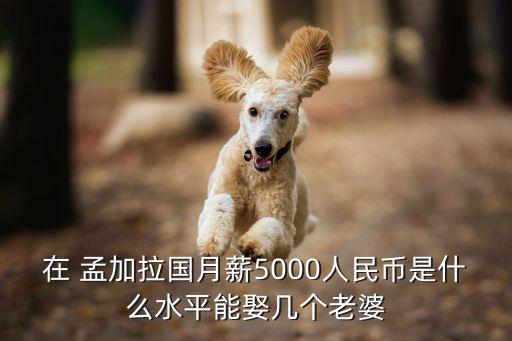 在 孟加拉國月薪5000人民幣是什么水平能娶幾個老婆