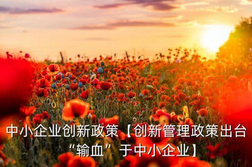 中小企業(yè)創(chuàng)新政策【創(chuàng)新管理政策出臺(tái)“輸血”于中小企業(yè)】