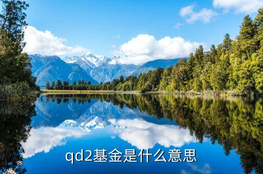 qd2基金是什么意思