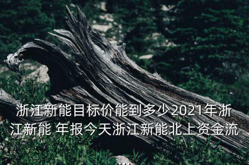 浙江新能目標(biāo)價(jià)能到多少2021年浙江新能 年報(bào)今天浙江新能北上資金流...