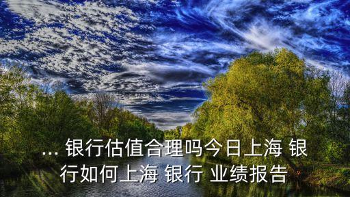 ... 銀行估值合理嗎今日上海 銀行如何上海 銀行 業(yè)績報(bào)告