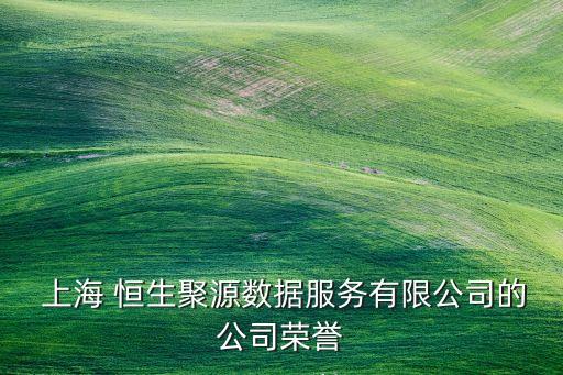  上海 恒生聚源數(shù)據(jù)服務(wù)有限公司的公司榮譽(yù)