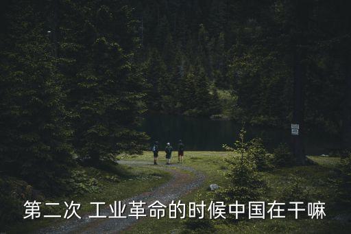 第二次 工業(yè)革命的時候中國在干嘛