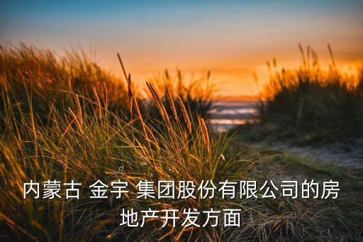 內(nèi)蒙古 金宇 集團股份有限公司的房地產(chǎn)開發(fā)方面