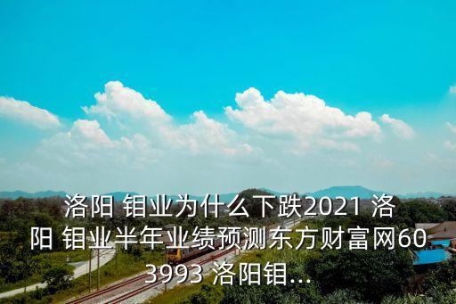  洛陽 鉬業(yè)為什么下跌2021 洛陽 鉬業(yè)半年業(yè)績(jī)預(yù)測(cè)東方財(cái)富網(wǎng)603993 洛陽鉬...