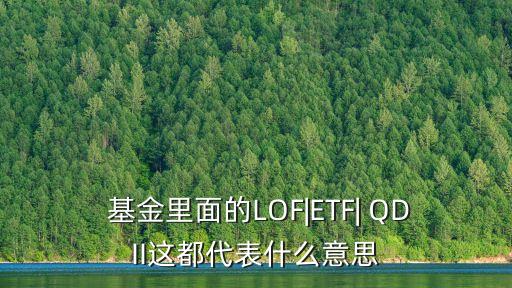 QDII基金分額凈值,關于qdii基金凈值的披露以下表述正確的是