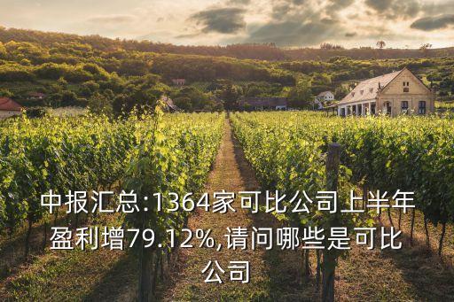 中報(bào)匯總:1364家可比公司上半年盈利增79.12%,請問哪些是可比公司